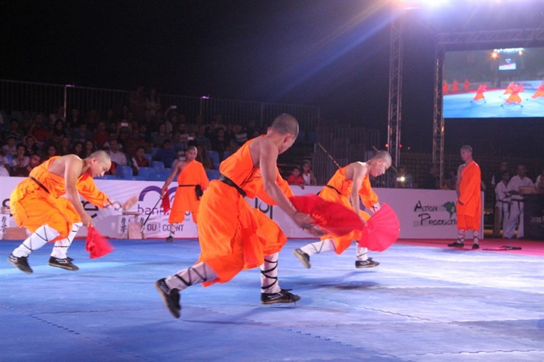 Martial Arts Festival